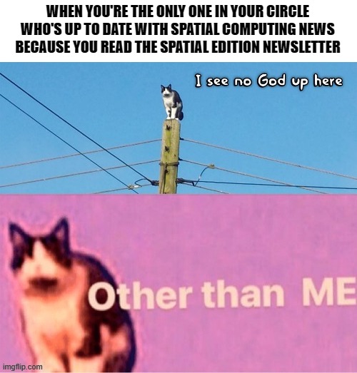Subscribe: thespatialedition.com/subscribe | WHEN YOU'RE THE ONLY ONE IN YOUR CIRCLE WHO'S UP TO DATE WITH SPATIAL COMPUTING NEWS BECAUSE YOU READ THE SPATIAL EDITION NEWSLETTER | image tagged in hail pole cat | made w/ Imgflip meme maker
