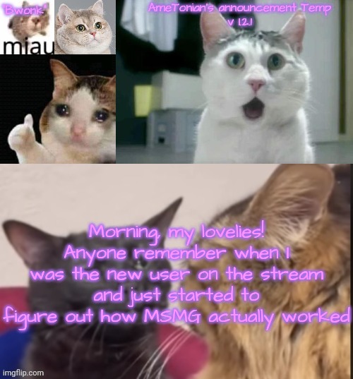 AmeTonian's announcement Temp v 1.2.1 | Morning, my lovelies!
Anyone remember when I was the new user on the stream and just started to figure out how MSMG actually worked | image tagged in ametonian's announcement temp v 1 2 1 | made w/ Imgflip meme maker