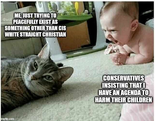 ME, JUST TRYING TO PEACEFULLY EXIST AS SOMETHING OTHER THAN CIS WHITE STRAIGHT CHRISTIAN; CONSERVATIVES INSISTING THAT I HAVE AN AGENDA TO HARM THEIR CHILDREN | made w/ Imgflip meme maker