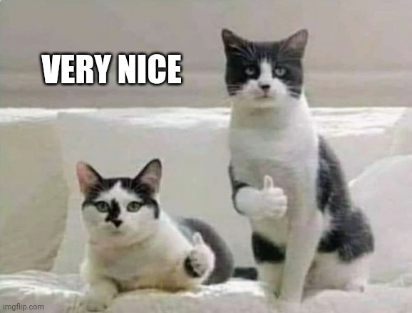 Thumbs up Cats | VERY NICE | image tagged in thumbs up cats | made w/ Imgflip meme maker