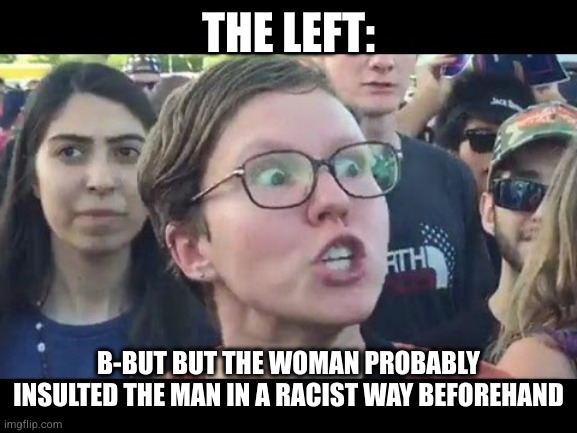 Angry sjw | THE LEFT: B-BUT BUT THE WOMAN PROBABLY INSULTED THE MAN IN A RACIST WAY BEFOREHAND | image tagged in angry sjw | made w/ Imgflip meme maker