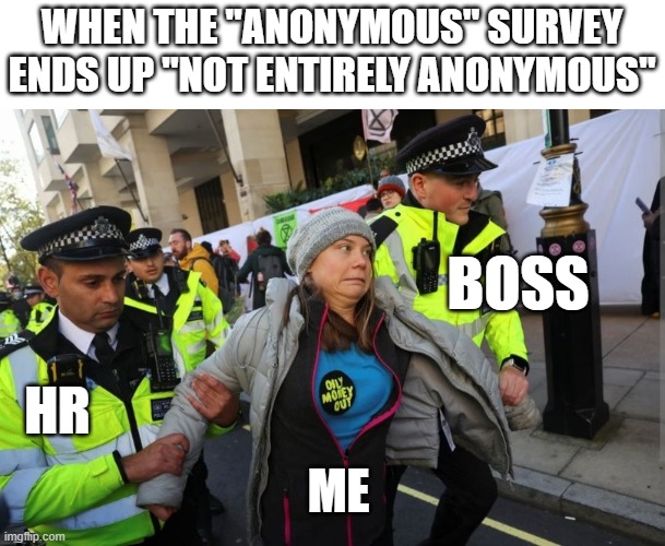 How to Get Promoted to Ex-Employee | WHEN THE "ANONYMOUS" SURVEY ENDS UP "NOT ENTIRELY ANONYMOUS"; BOSS; HR; ME | image tagged in greta thumberg police,first world problems,office | made w/ Imgflip meme maker