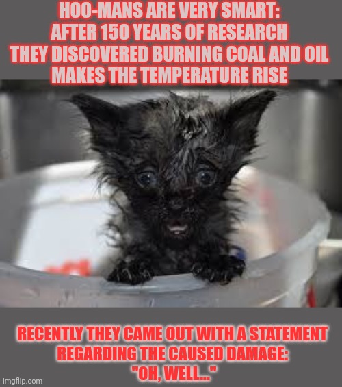 This #lolcat wonders if humans are as smart as they think they are | HOO-MANS ARE VERY SMART:
AFTER 150 YEARS OF RESEARCH
THEY DISCOVERED BURNING COAL AND OIL
MAKES THE TEMPERATURE RISE; RECENTLY THEY CAME OUT WITH A STATEMENT 
REGARDING THE CAUSED DAMAGE: 
"OH, WELL..." | image tagged in stupid people,fossil fuel,climate change,oil,lolcat | made w/ Imgflip meme maker