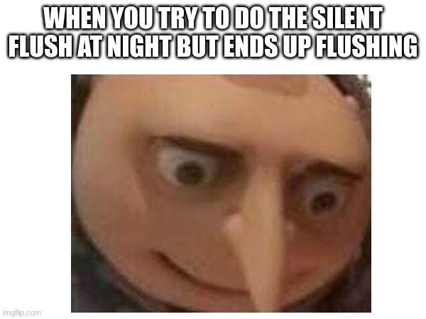 So true when gaming at night when someone is over lol | WHEN YOU TRY TO DO THE SILENT FLUSH AT NIGHT BUT ENDS UP FLUSHING | image tagged in gru meme,oh no | made w/ Imgflip meme maker