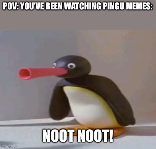 NOOT NOOT! | POV: YOU’VE BEEN WATCHING PINGU MEMES:; NOOT NOOT! | image tagged in pingu | made w/ Imgflip meme maker