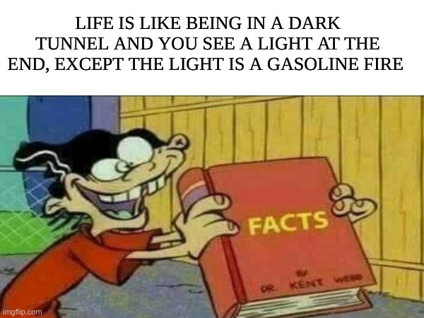 Spitting straight facts i am | LIFE IS LIKE BEING IN A DARK TUNNEL AND YOU SEE A LIGHT AT THE END, EXCEPT THE LIGHT IS A GASOLINE FIRE | image tagged in facts,real life,shower thoughts | made w/ Imgflip meme maker