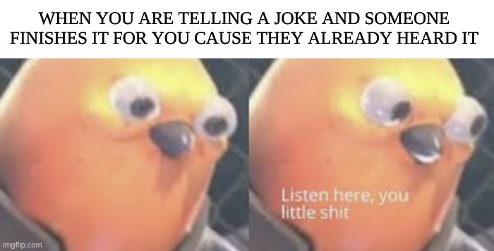 So annyoing but fun to do to others | WHEN YOU ARE TELLING A JOKE AND SOMEONE FINISHES IT FOR YOU CAUSE THEY ALREADY HEARD IT | image tagged in listen here you little shit bird,so true memes,funny memes,change my mind | made w/ Imgflip meme maker