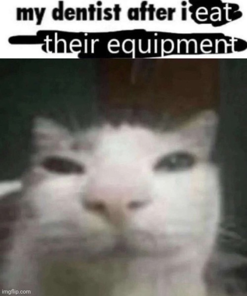 real | made w/ Imgflip meme maker