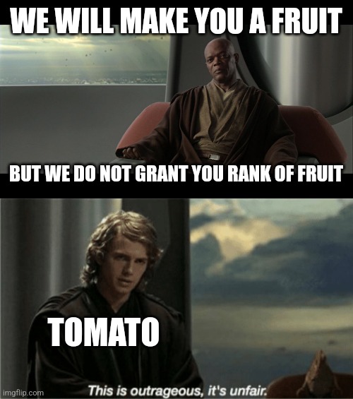 WE WILL MAKE YOU A FRUIT; BUT WE DO NOT GRANT YOU RANK OF FRUIT; TOMATO | image tagged in you are on this council but we do not grant you the rank of mast,this is outrageous it's unfair | made w/ Imgflip meme maker