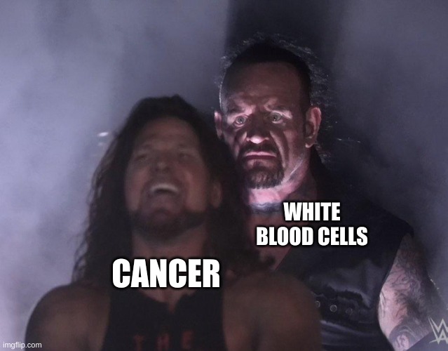 better hope and pray the white blood cells jump the cancer | WHITE BLOOD CELLS; CANCER | image tagged in undertaker,cancer | made w/ Imgflip meme maker
