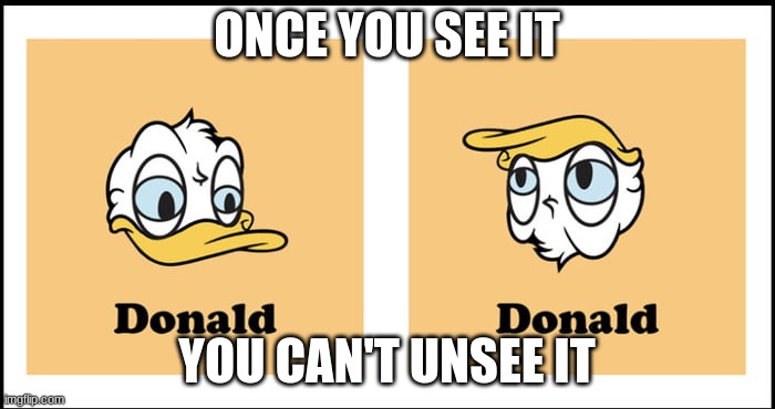 You got the other donald | ONCE YOU SEE IT YOU CAN'T UNSEE IT | image tagged in you got the other donald | made w/ Imgflip meme maker