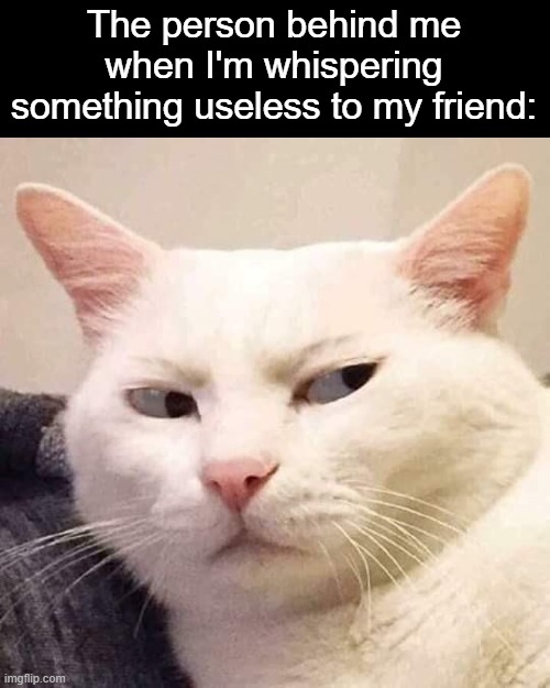 "you know I hear you, right?" | The person behind me when I'm whispering something useless to my friend: | image tagged in i'm watching you,whisper,school,friends,memes | made w/ Imgflip meme maker