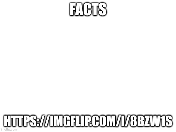 straight facts bro | FACTS; HTTPS://IMGFLIP.COM/I/8BZW1S | made w/ Imgflip meme maker