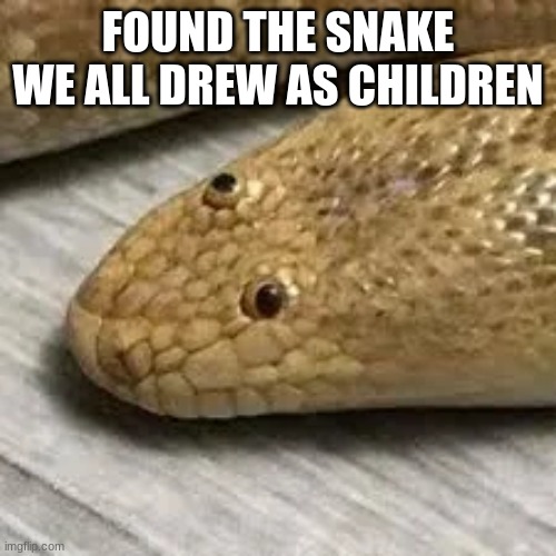 FOUND THE SNAKE WE ALL DREW AS CHILDREN | image tagged in snek | made w/ Imgflip meme maker