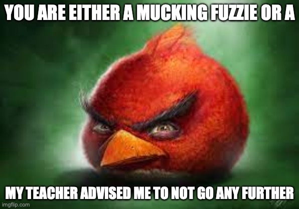Realistic Red Angry Birds | YOU ARE EITHER A MUCKING FUZZIE OR A; MY TEACHER ADVISED ME TO NOT GO ANY FURTHER | image tagged in realistic red angry birds | made w/ Imgflip meme maker