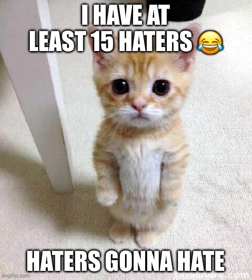 Cute Cat | I HAVE AT LEAST 15 HATERS 😂; HATERS GONNA HATE | image tagged in memes,cute cat | made w/ Imgflip meme maker