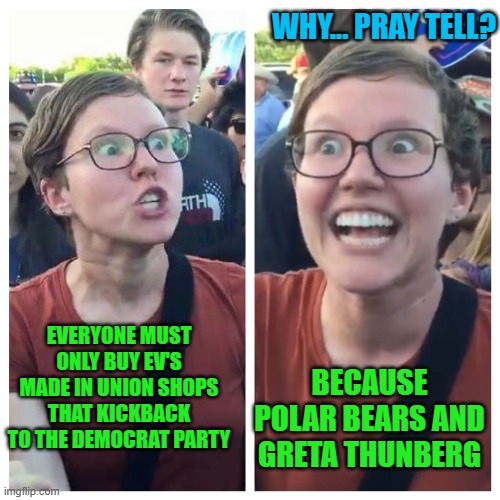 why you ask? | WHY... PRAY TELL? EVERYONE MUST ONLY BUY EV'S MADE IN UNION SHOPS THAT KICKBACK TO THE DEMOCRAT PARTY; BECAUSE POLAR BEARS AND GRETA THUNBERG | image tagged in social justice warrior hypocrisy,democrats | made w/ Imgflip meme maker