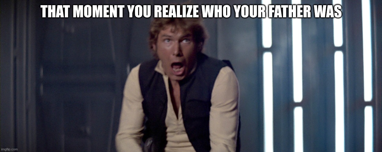 han solo | THAT MOMENT YOU REALIZE WHO YOUR FATHER WAS | image tagged in han solo | made w/ Imgflip meme maker