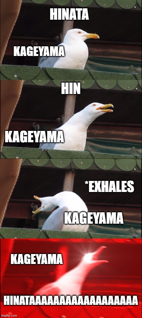 Inhaling Seagull Meme | HINATA; KAGEYAMA; HIN; KAGEYAMA; *EXHALES; KAGEYAMA; KAGEYAMA; HINATAAAAAAAAAAAAAAAAAA | image tagged in memes,inhaling seagull | made w/ Imgflip meme maker