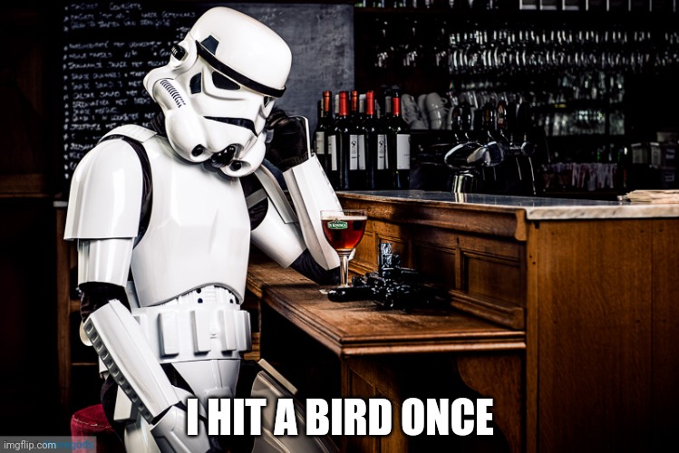 Storm trooper lore | I HIT A BIRD ONCE | image tagged in storm trooper regrets,star wars,stormtrooper,lore | made w/ Imgflip meme maker