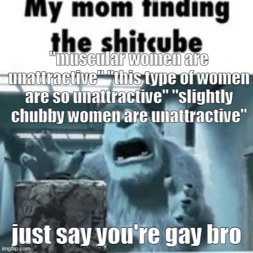 its not just "your type" anymore if you are gonna diss every women for a thing you dont like | "muscular women are unattractive" "this type of women are so unattractive" "slightly chubby women are unattractive"; just say you're gay bro | image tagged in my mom finding the shitcube | made w/ Imgflip meme maker