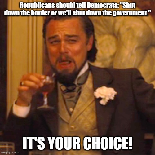 When push comes to shove! | Republicans should tell Democrats: "Shut down the border or we'll shut down the government."; IT'S YOUR CHOICE! | image tagged in leonardo dicaprio,open borders,government shutdown | made w/ Imgflip meme maker