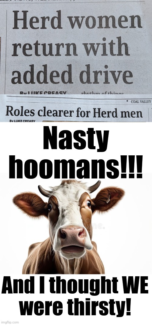 What is this in my newspaper?! | Nasty hoomans!!! And I thought WE
were thirsty! | image tagged in memes,herd men,herd women,nasty,thirsty | made w/ Imgflip meme maker