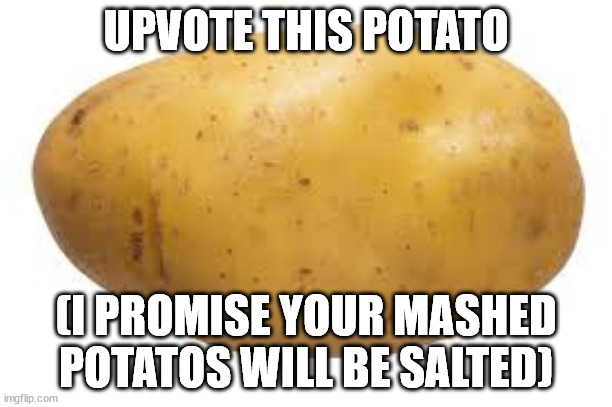 potato | UPVOTE THIS POTATO; (I PROMISE YOUR MASHED POTATOS WILL BE SALTED) | image tagged in potato | made w/ Imgflip meme maker