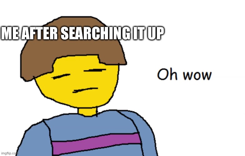 Oh Wow | ME AFTER SEARCHING IT UP | image tagged in oh wow | made w/ Imgflip meme maker