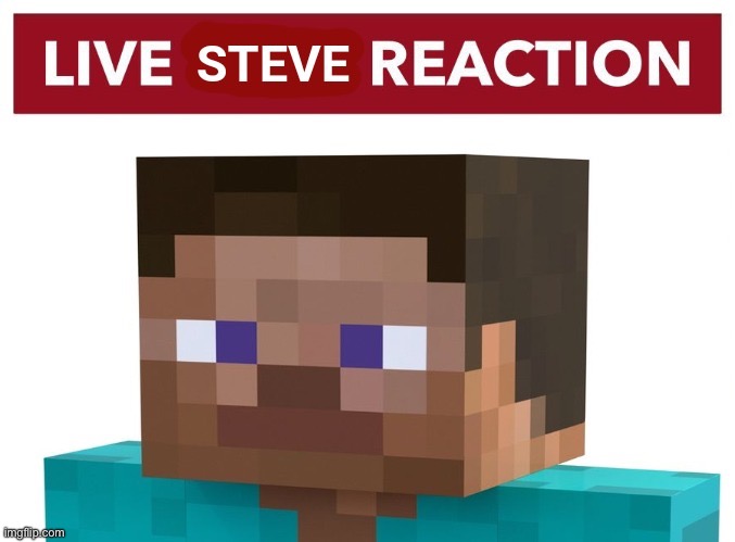 Live steve reaction | image tagged in live steve reaction | made w/ Imgflip meme maker