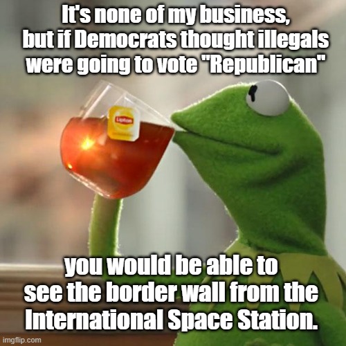 Truth about the Border Wall | It's none of my business, but if Democrats thought illegals were going to vote "Republican"; you would be able to see the border wall from the International Space Station. | image tagged in kermit the frog,border wall,illegal aliens | made w/ Imgflip meme maker