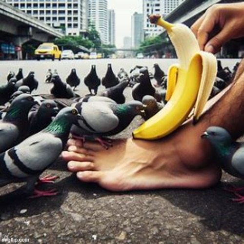 new yorker | image tagged in relatable,banana,foot,bird | made w/ Imgflip meme maker