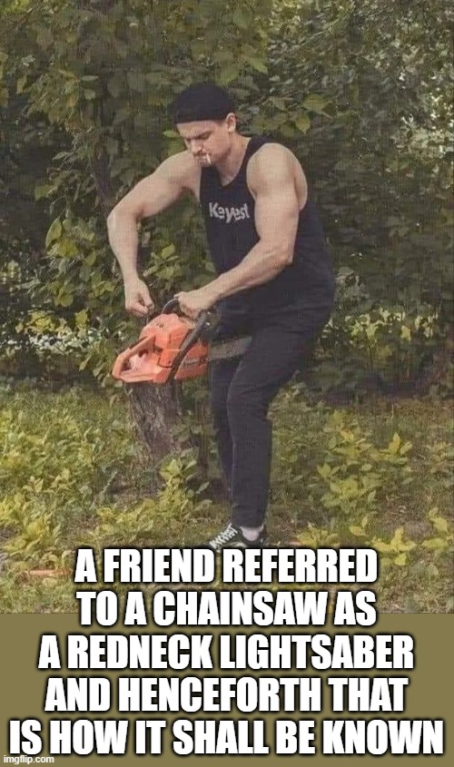 chainsaw | A FRIEND REFERRED TO A CHAINSAW AS A REDNECK LIGHTSABER AND HENCEFORTH THAT IS HOW IT SHALL BE KNOWN | image tagged in redneck,chainsaw,lightsaber | made w/ Imgflip meme maker