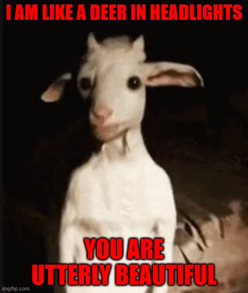 Don't misspecies me | I AM LIKE A DEER IN HEADLIGHTS; YOU ARE UTTERLY BEAUTIFUL | image tagged in compliment,roleplaying,scene,bdsm,kinky,fetish | made w/ Imgflip meme maker