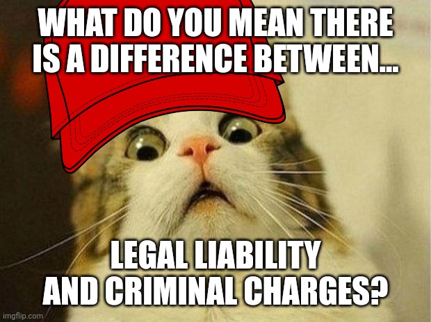 There os a precedence for a president being in this situation... | WHAT DO YOU MEAN THERE IS A DIFFERENCE BETWEEN... LEGAL LIABILITY AND CRIMINAL CHARGES? | image tagged in memes,scared cat | made w/ Imgflip meme maker