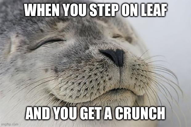 True | WHEN YOU STEP ON LEAF; AND YOU GET A CRUNCH | image tagged in satisfied seal,murder drones | made w/ Imgflip meme maker