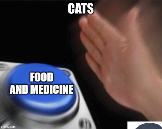 zhghfs | CATS | image tagged in dank memes,relatable,relatable memes,dank,dank meme | made w/ Imgflip meme maker