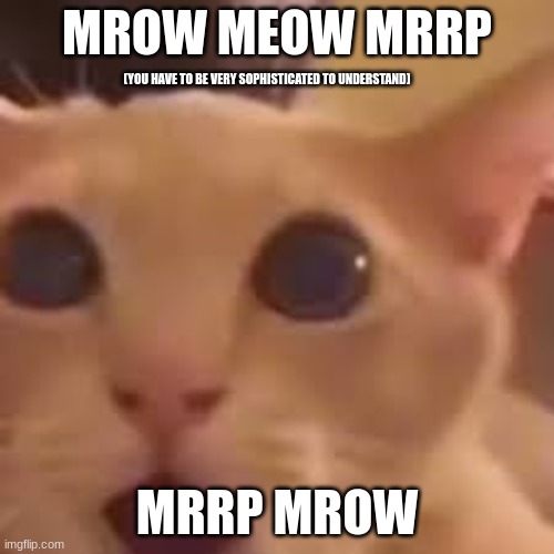 Mrrp | MROW MEOW MRRP; (YOU HAVE TO BE VERY SOPHISTICATED TO UNDERSTAND); MRRP MROW | image tagged in cat | made w/ Imgflip meme maker