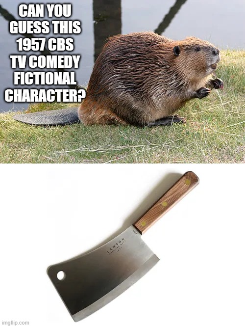 CAN YOU GUESS IT? | CAN YOU GUESS THIS 1957 CBS TV COMEDY FICTIONAL CHARACTER? | image tagged in tv shows | made w/ Imgflip meme maker