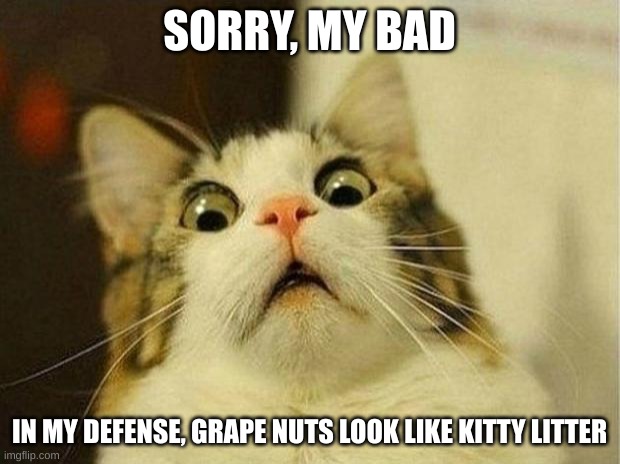 Litter Box Drama | SORRY, MY BAD; IN MY DEFENSE, GRAPE NUTS LOOK LIKE KITTY LITTER | image tagged in memes,scared cat | made w/ Imgflip meme maker