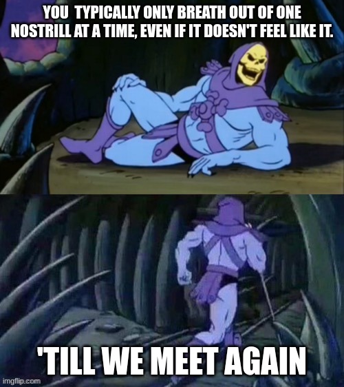 hehe | YOU  TYPICALLY ONLY BREATH OUT OF ONE NOSTRILL AT A TIME, EVEN IF IT DOESN'T FEEL LIKE IT. 'TILL WE MEET AGAIN | image tagged in skeletor disturbing facts | made w/ Imgflip meme maker