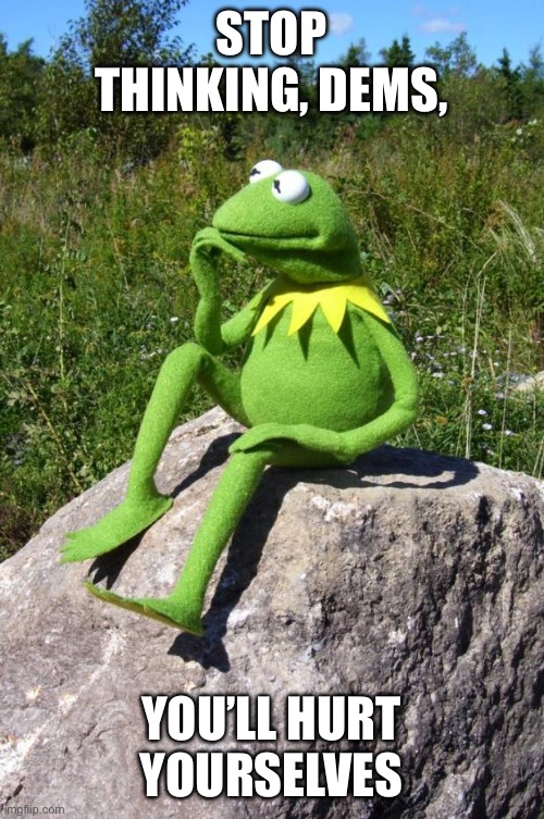 Kermit-thinking | STOP THINKING, DEMS, YOU’LL HURT YOURSELVES | image tagged in kermit-thinking | made w/ Imgflip meme maker