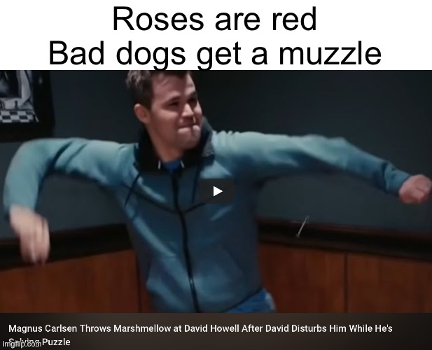 NOOO THE WATERMARK COVERS IT UP | Roses are red
Bad dogs get a muzzle | image tagged in stupid watermark | made w/ Imgflip meme maker