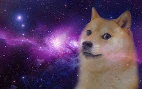 High Quality doge in space Blank Meme Template