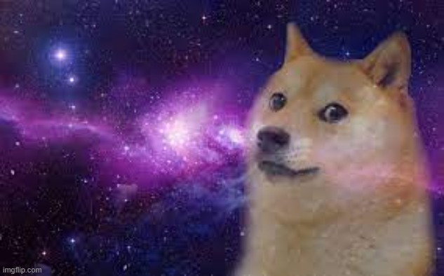 to the moon | image tagged in doge in space,not a meme,to the moon,doge | made w/ Imgflip meme maker