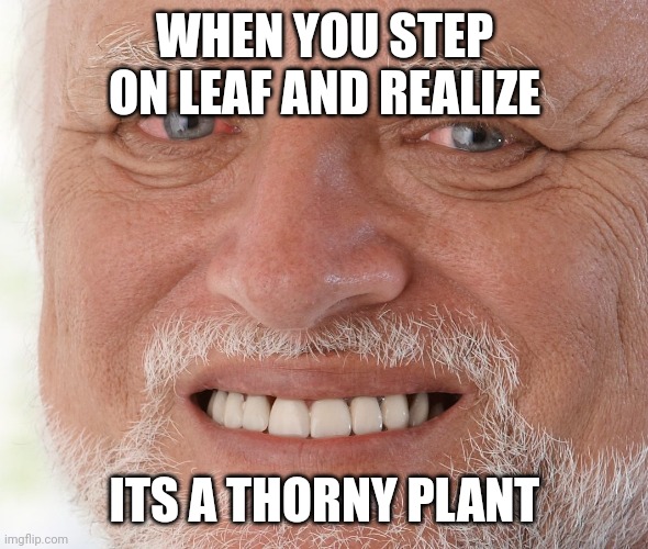 Hide the Pain Harold | WHEN YOU STEP ON LEAF AND REALIZE ITS A THORNY PLANT | image tagged in hide the pain harold | made w/ Imgflip meme maker