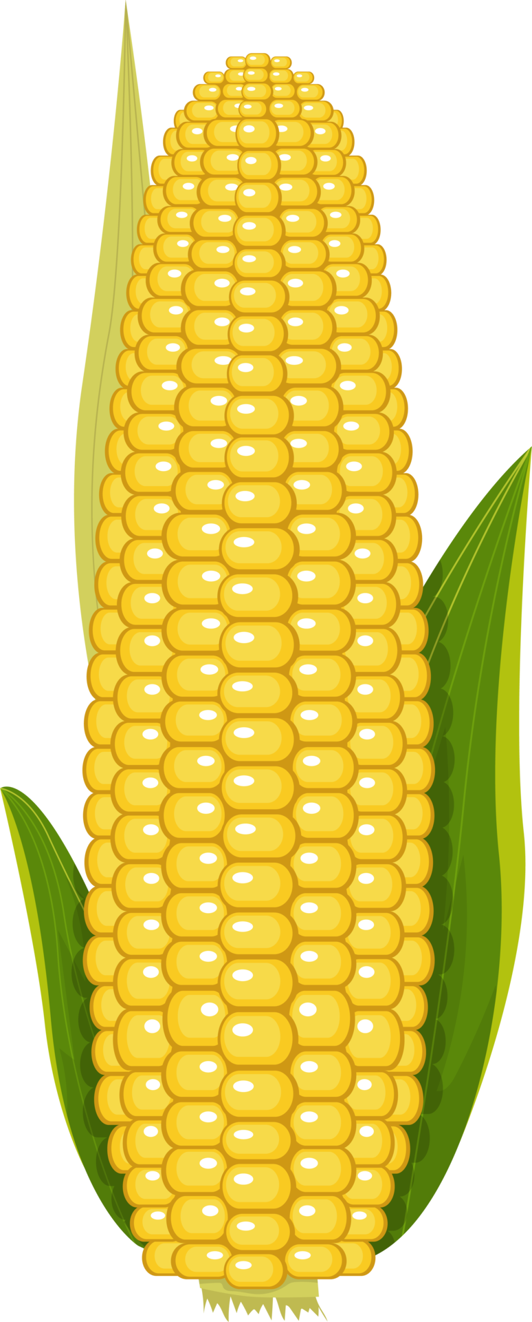 High Quality Ear of corn Blank Meme Template