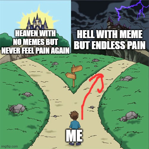 why not i can't live without memes | HELL WITH MEME BUT ENDLESS PAIN; HEAVEN WITH NO MEMES BUT NEVER FEEL PAIN AGAIN; ME | image tagged in two paths | made w/ Imgflip meme maker