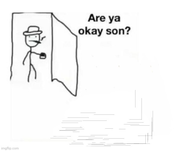 Are you ok son | image tagged in are you ok son | made w/ Imgflip meme maker