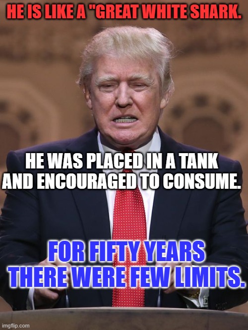 Like "Timon of Athens," he thought rules you could avoid, did not apply to you. | HE IS LIKE A "GREAT WHITE SHARK. HE WAS PLACED IN A TANK AND ENCOURAGED TO CONSUME. FOR FIFTY YEARS THERE WERE FEW LIMITS. | image tagged in donald trump | made w/ Imgflip meme maker